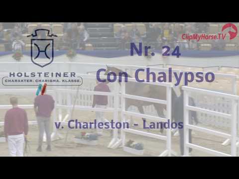 Holsteiner Körung 2019 - Nr. 24 Con Chalypso