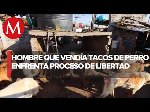 Procesan en libertad a un hombre acusado de matar perros y vender su carne en puestos de tacos en Nezahualcóyotl