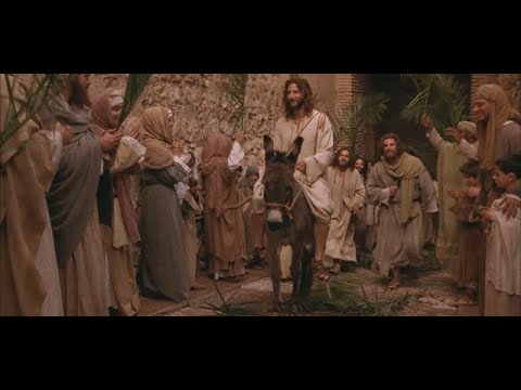 Life of Jesus (Gospel of John), (English), Triumphal Entry and Results