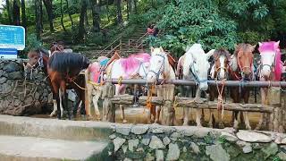 Gibraltar #Baguio City #Vlogbagam 4