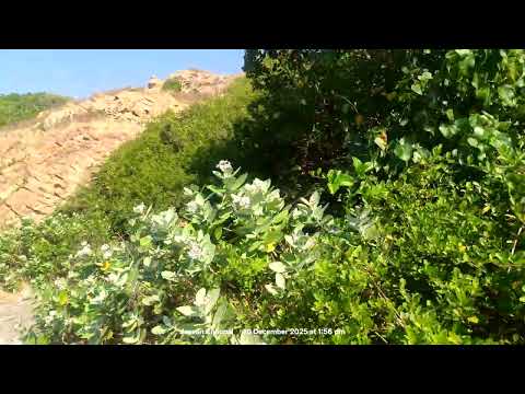 #Film shooting 👍 time Goa devgadh beach 🔔