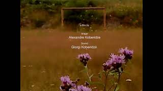 Official Teaser Trailer