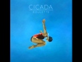 Cicada - Executive
