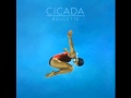 Cicada - Executive 