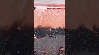 Download lagu Laut Merah mp3
