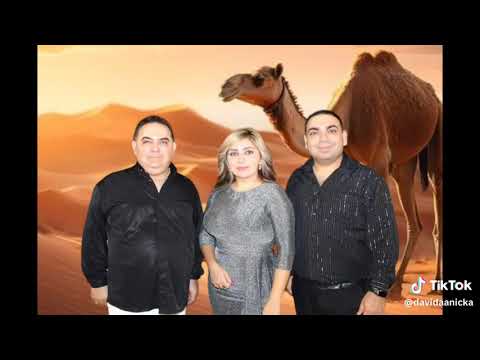 GIPSY DAVID RUŽOMBEROK