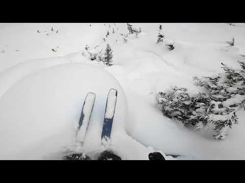 Think all skis are the same? Think again.