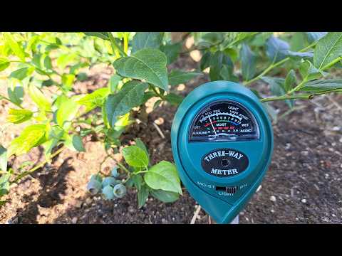 Organsko gnojivo za Američke Borovnice (stajnjak + piljevina) i sumpor ?