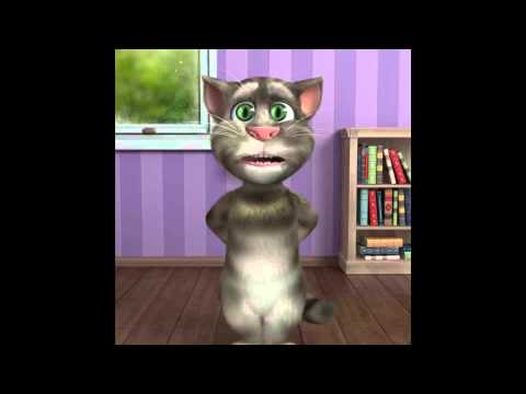 Talking Tom Cat sing Calvin Harris - This is what you came for