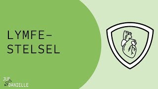 Lymfestelsel