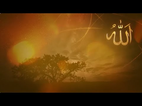 Četiri stuba Allahove odredbe - U SRCIMA NAŠIM (Tahavijska akida) - mr. Enes Julardžija