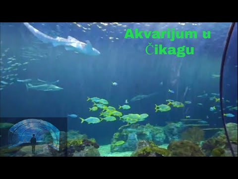 ŠOK! Ovo nismo očekivali.