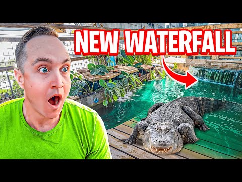 I Built My Alligators A NEW Waterfall!