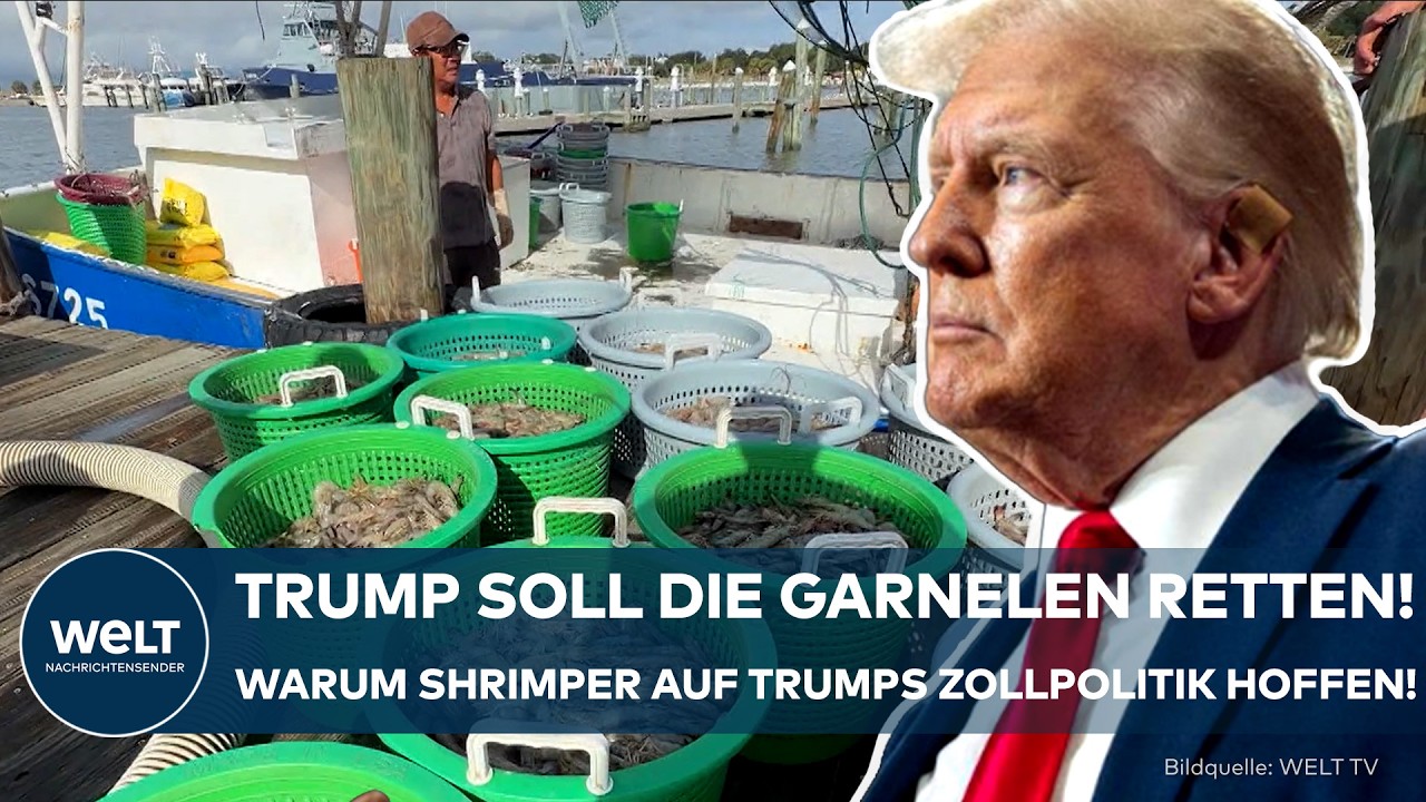 USA: Trumps Zollpolitik soll die Garnelen retten! Fischer kämpfen gegen Importe und steigende Kosten