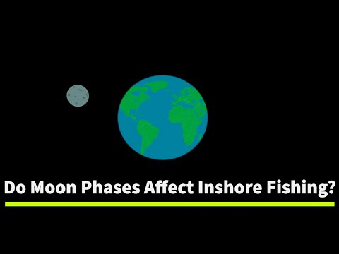 Current Moon Phase Florida