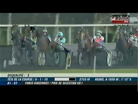 Prix De Selection 2012 Unique Quick_Franck Leblanc