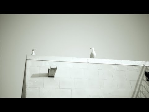 Aloe Vera in Berlin. Elektrika | Kontramarka.de