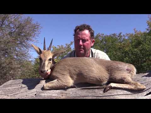 RW Safaris - Mike Hunting Duiker 2017