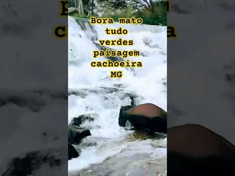 olá  pessoal?! tudo verdes mata cachoeira por aqui # estamos em minasgerais zona da mata #