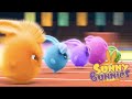 Funny Videos For Kids | Sunny Bunnies - THE BIG RACE | Videos For Kids