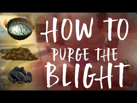 download lagu mp3 mp4 Purge The Blight, download lagu Purge The Blight gratis, unduh video klip Purge The Blight
