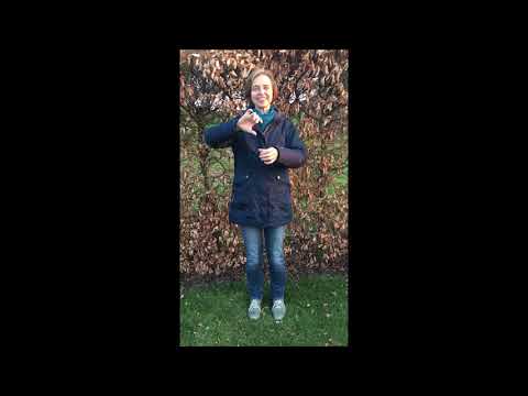 Das Glückstee-Lachen mit Anne Sintic