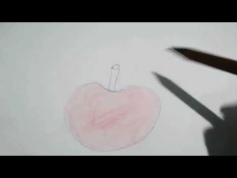 Brawl Stars Animation: Year of the Tiger! - Part 1