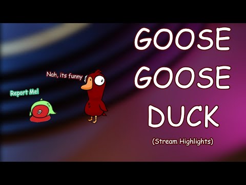Certainly one of the Goose Goose Duck videos of all time