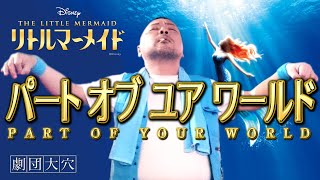 カラオケ Part Of Your World リトルマーメイド 劇団四季 أغاني Mp3 مجانا カラオケ Part Of Your World リトルマーメイド 劇団四季 أغاني Mp3 مجانا