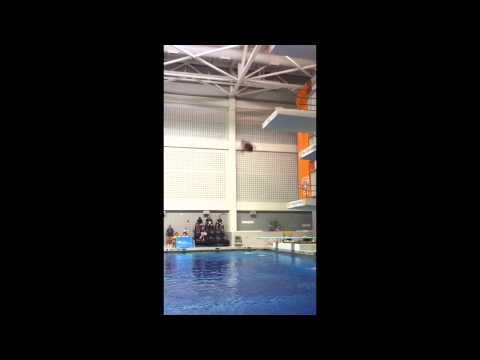 Scott Lazeroff Platform Finals at USA Diving Junior Nationa