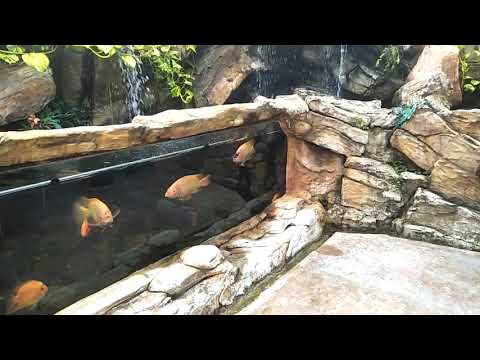 3D Bintang Kejuruteraan