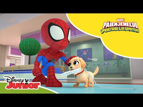 🐶 Atacul cățelușului! | Păienjenelul Marvel și prietenii lui uimitori | Disney Junior România
