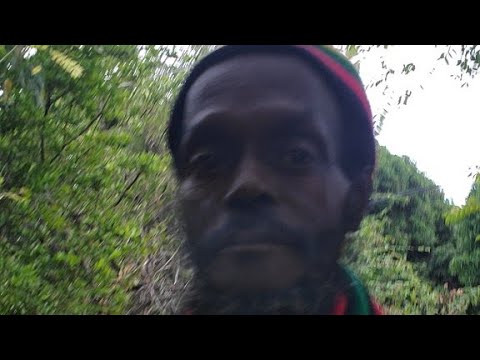 Live in Jamaica with the legendary Sylford Walker!