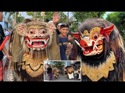 BARONG BANGKUNG MEPETUK DAHSYAT