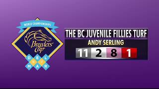 Download Lagu Andy Serling's Breeders' Cup Juvenile Fillies Turf Preview Thumbnail