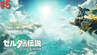 【ゼルダの伝説 ティアーズ オブ ザ キングダム】 #5