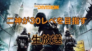 二神ディビジョン30レベを目指して