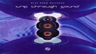 V.A. - Trip Through Sound | Full Mix