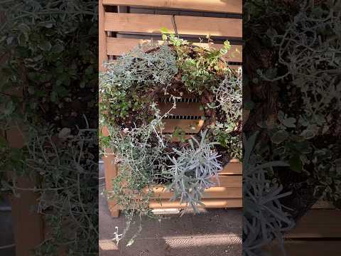 耐熱性フルサンプランター用の吊り下げ花のアイデア