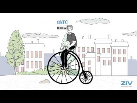 Prostata-Symptome Freie Prostata-Erkrankungen