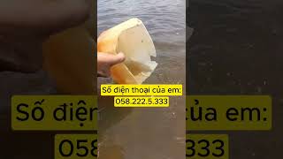 Men vi sinh Max Clean - Xử lý tảo xanh, tảo lam, làm sạch nước ao.