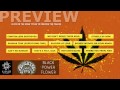 BRANT BJORK and the Low Desert Punk Band ...