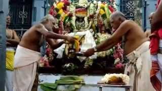 preview picture of video 'Meenakshi Sundhareshwarar Thirukalyanam - Neyveli'
