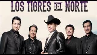 mix de los tigres del norte y cardenales de nuevo leon