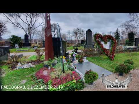 Falcograb - 2.Dezember 2019