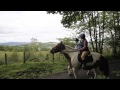 Loch Lomond Pony Trekking Video