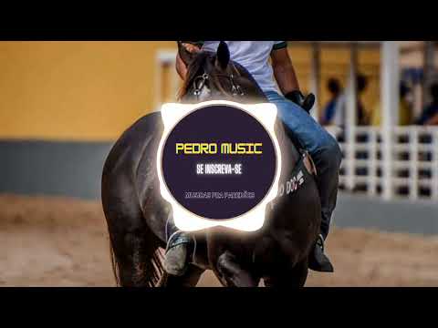 Gado que prova do meu capim Tarcicío do acordeon (Com grave) 2023