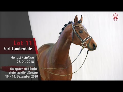Youngster- und Zuchtstutenauktion/Dressur Lot 11 Fort Lauderdale Hengst v. For Romance I-Londonderry