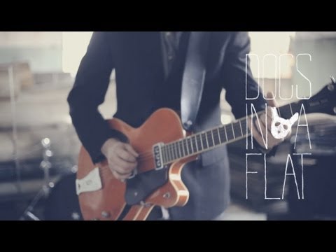 Shine - Dogs in a Flat - Official Videoclip