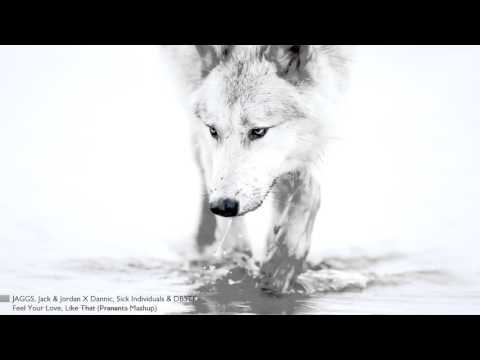 JAGGS, Jack & Jordan X Dannic, Sick Individuals & DBSTF - Feel Your Love,Like That (Prananta Mashup)